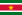http://upload.wikimedia.org/wikipedia/commons/thumb/6/60/Flag_of_Suriname.svg/22px-Flag_of_Suriname.svg.png