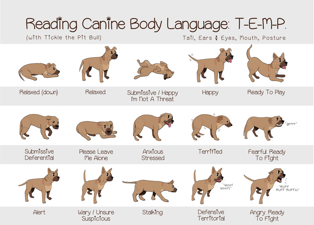 pictures that depict dog body language