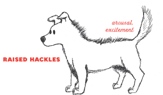 cartoon of a dog with hair raised along his back