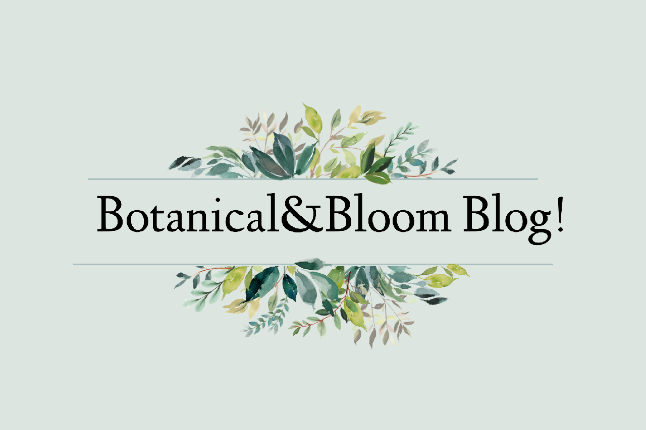 Botanical&Bloom Blog