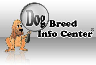 dog breed info logo