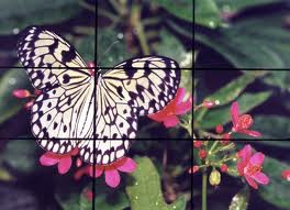rule of thirds
